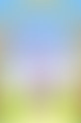 The Plus One Pact by Portia MacIntosh