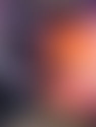 Lord of the Fading Lands by C.L. Wilson