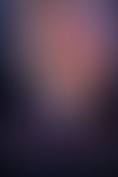 The Struggle by Jennifer L Armentrout