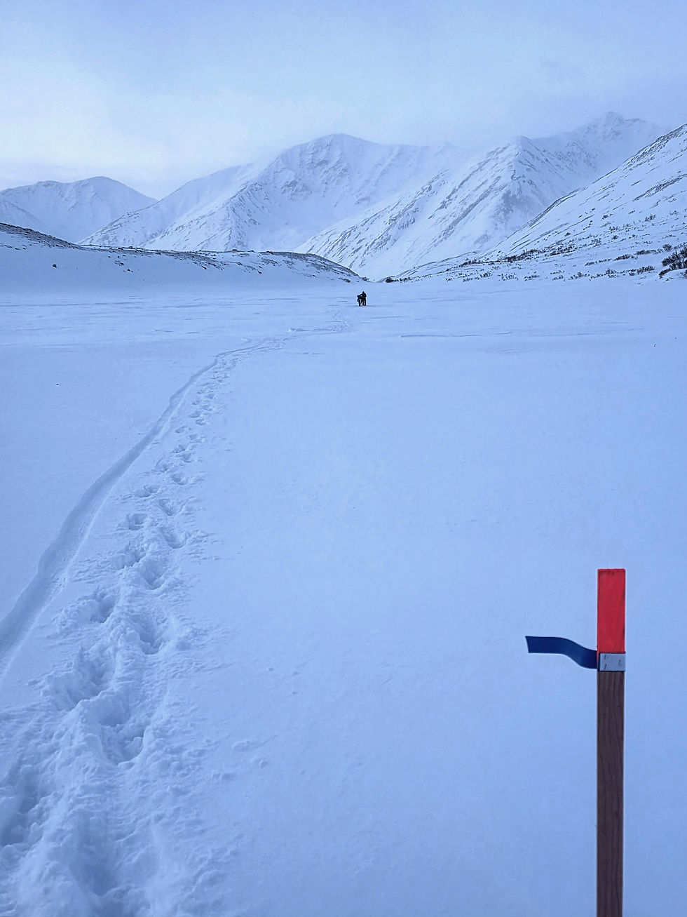 2026 Iditarod ©Jay Petervary Deep Snowy Trail
2026 Iditarod ©Jay Petervary Winter Ultra, Fat Pursuit, ITI, Iditarod Trail Invitational, ultra endurance, bikepacking, Rainy Pass, Alaska Range
