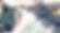 PC sustainable trims cover.png