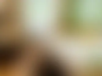 Hosté z Evropy i ze světa chválí Hotel Raj: Výjimečná hodnocení za červen