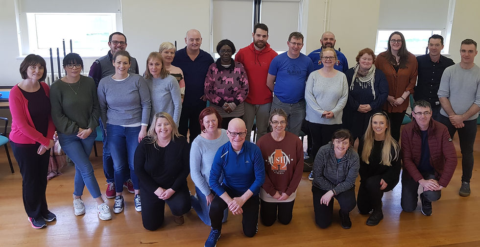 Standing L to R  Caroline Farrell, Daughters of Charity (DoC), Dublin; Gillian Callan, DoC, Dublin; Mark Talbot, DoC, Roscrea; Elaine Ryan, DoC, Roscrea; Margaret O'Friel, DoC, Dublin; Noelene Mullen, HSE Southside; Tony Mulvihill, HSE Southside; Omotayo Apara, HSE Southside; Damian O'Neill, Studio 3, Kerry; Eugene McGinley, HSE Donegal; Mary Maher, Studio 3 Dublin; Keith Hayes, Camphill Communities, Dunshane; Bridget Ryan, SOS Kilkenny; Marian O'Shea, Studio 3, Dublin; Bernard Collins, DoC, Limerick; Kieran Murray, HSE Donegal; Kneeling L to R: Tina Kellegher, DoC, Limerick; Sonia O'Donnell, HSE, Donegal; Martin Galvin, Studio 3, Dublin; Brid Dempsey, DoC, Dublin; Brid Costelloe, SOS Kilkenny; Hnnah McAuliffe, Studio 3, Dublin; Barry Newell, Brothers of Charity, Galway.
