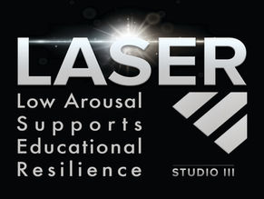 Bespoke LASER Training