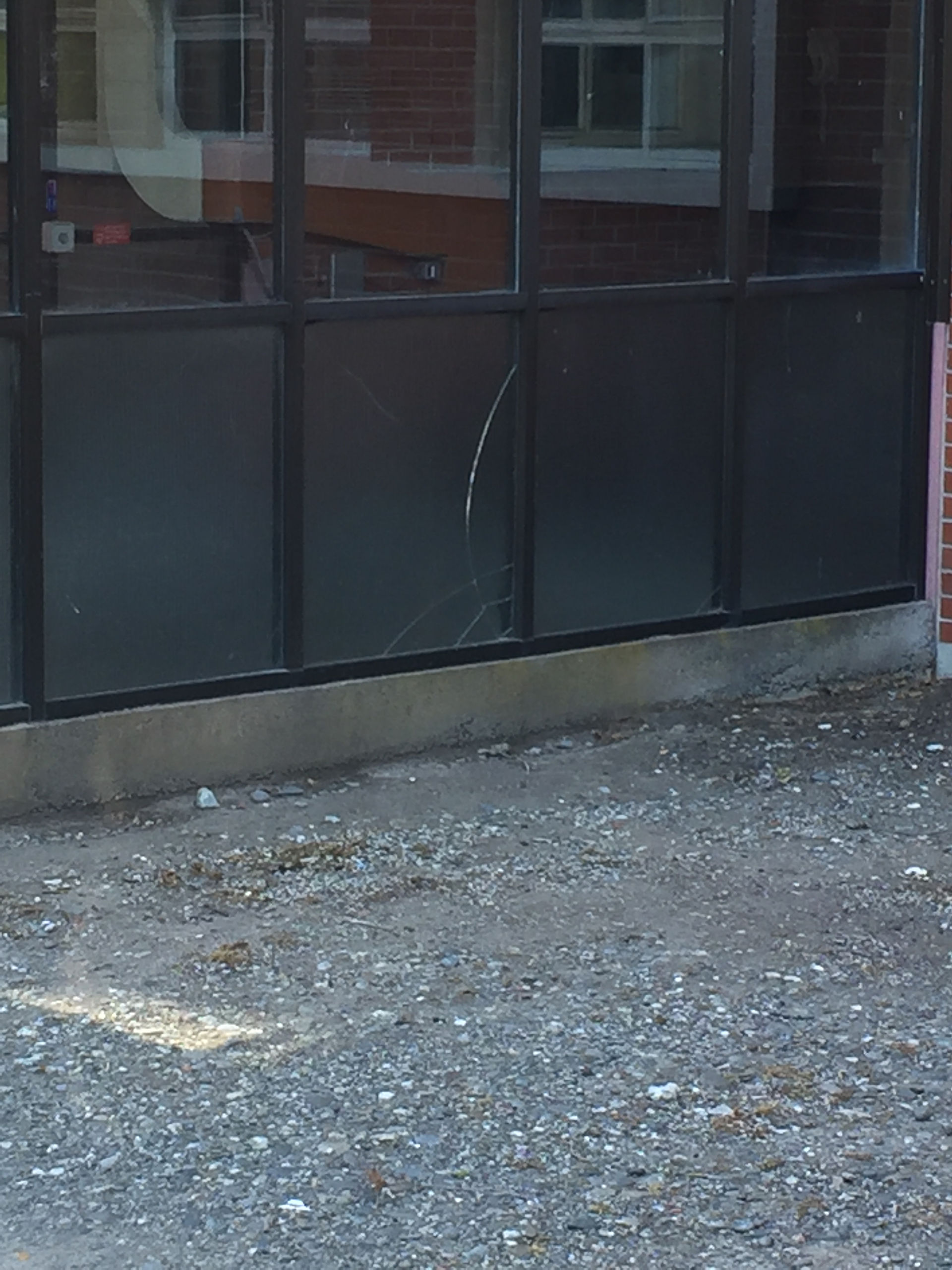 Participant 7 (2).JPG