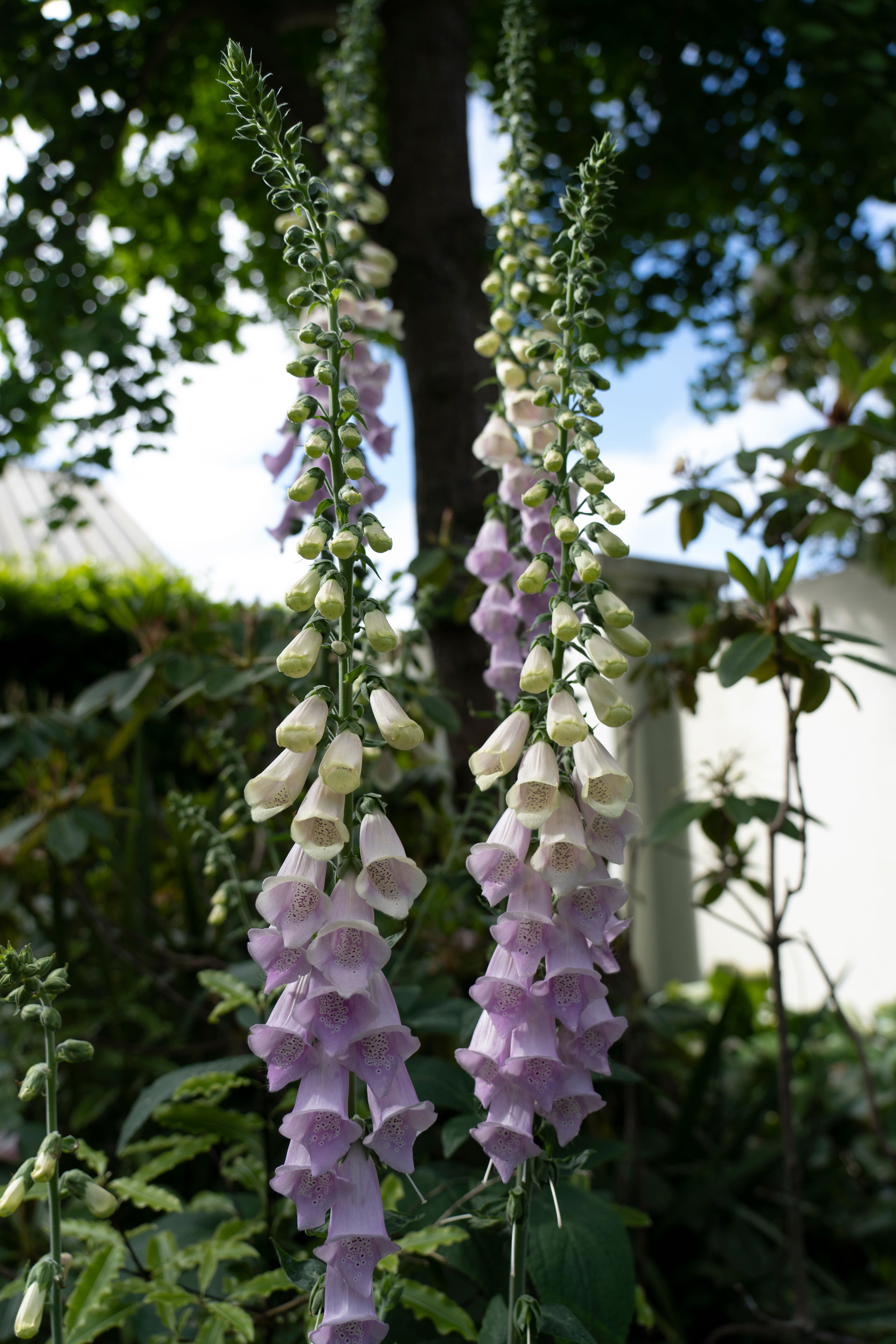 Participant 15 (2).jpg