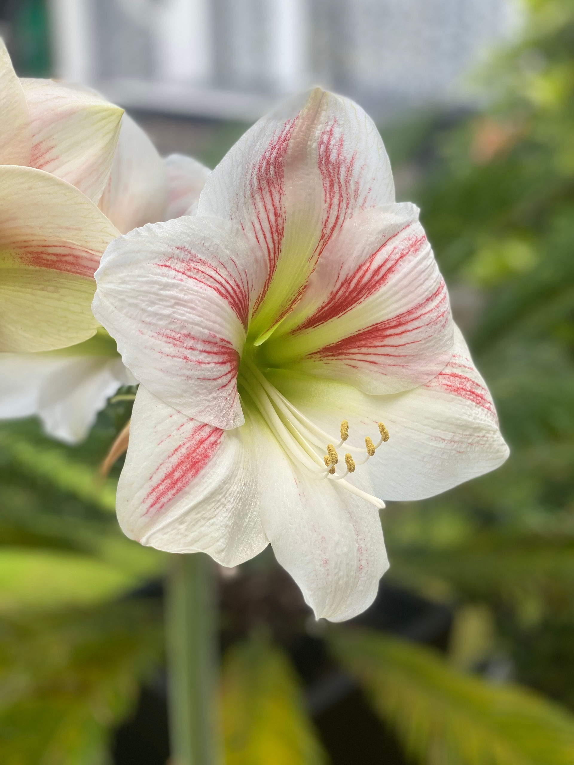 Participant 8 (2).jpg