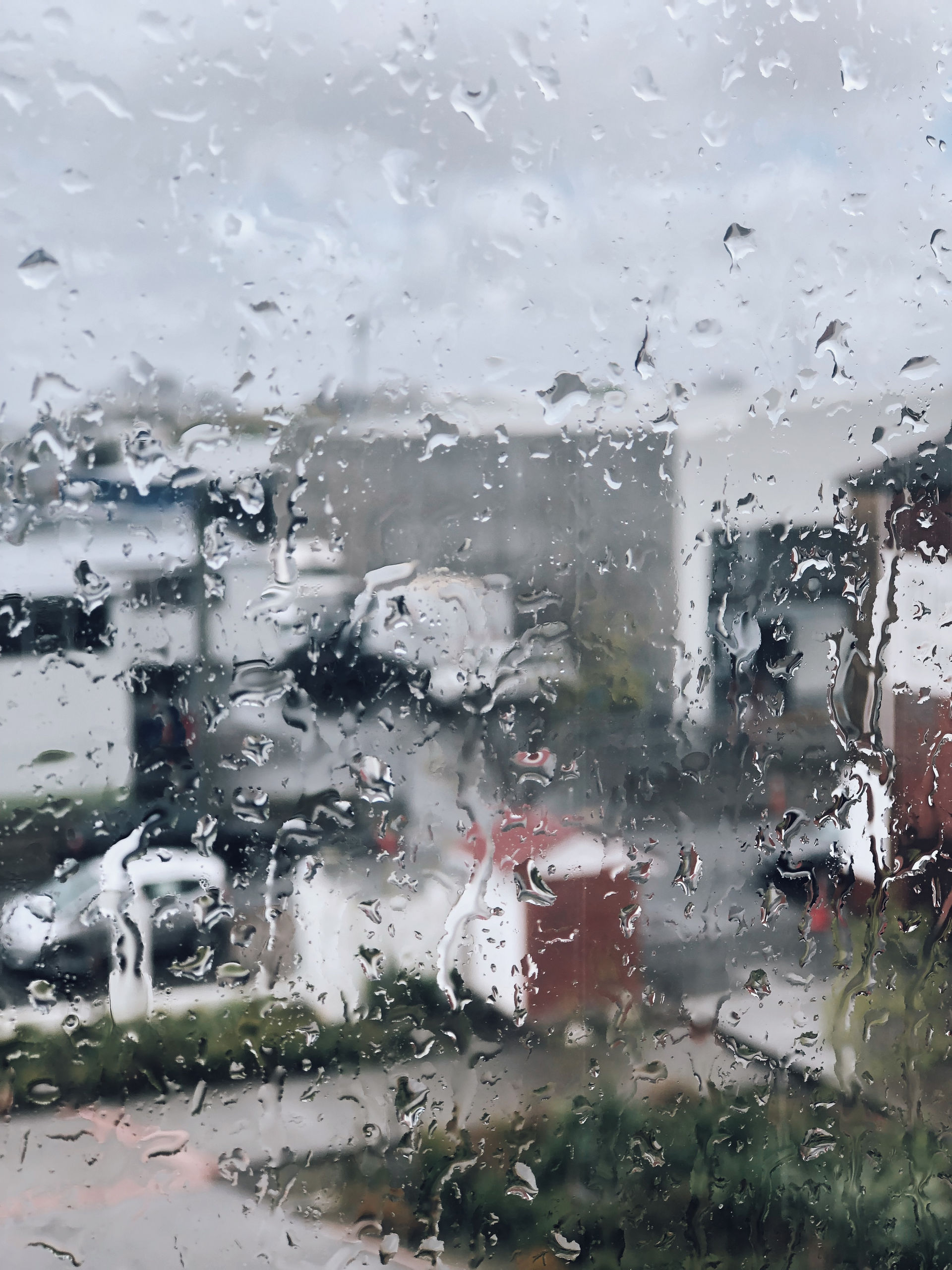 Participant 2 (1).jpg