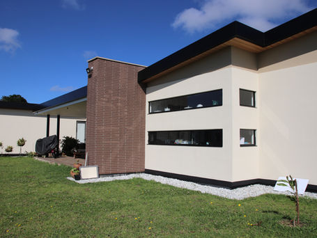 TORO MEJIA 5.JPG.jpg