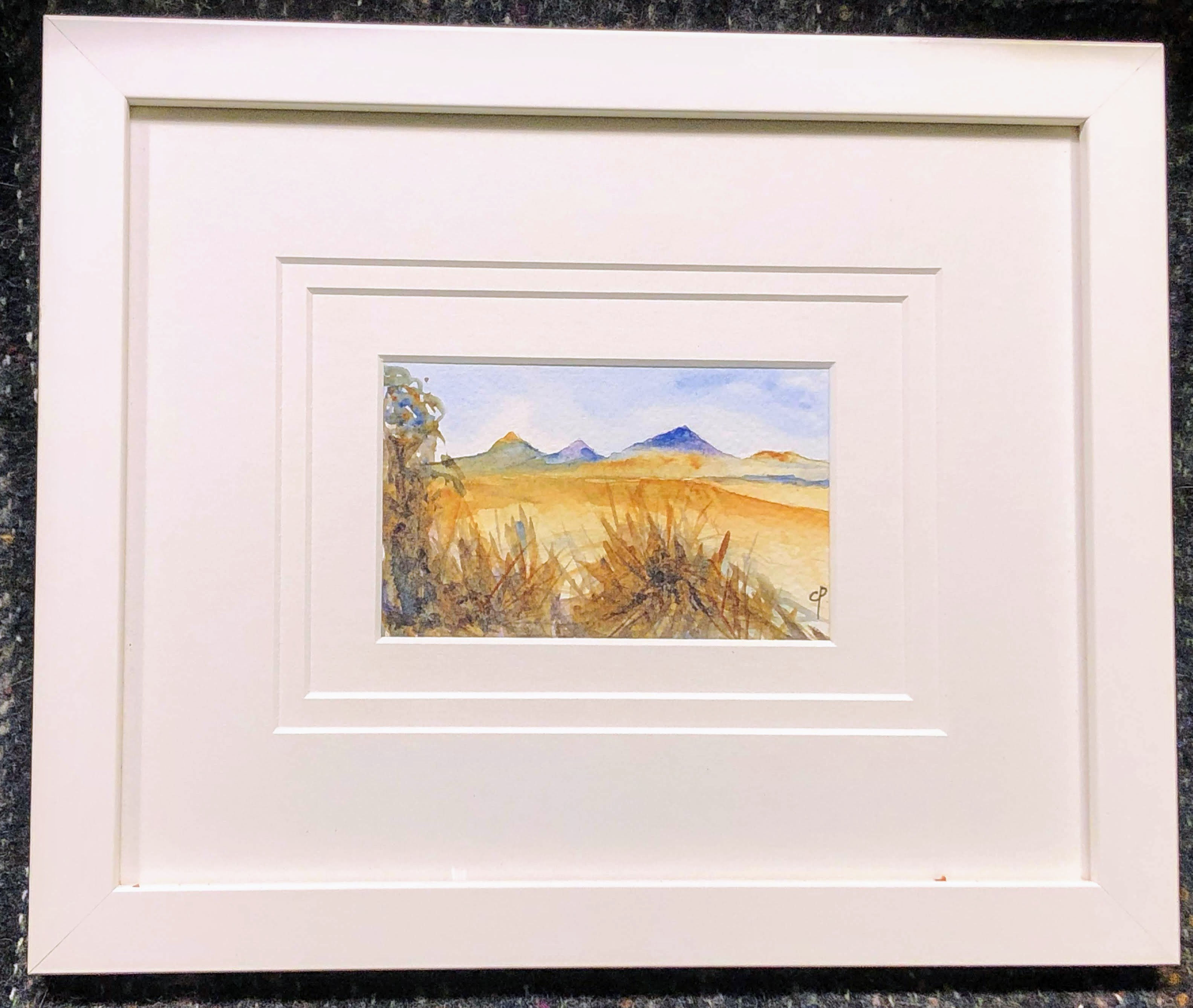 263. Mt Sorell. Tas.