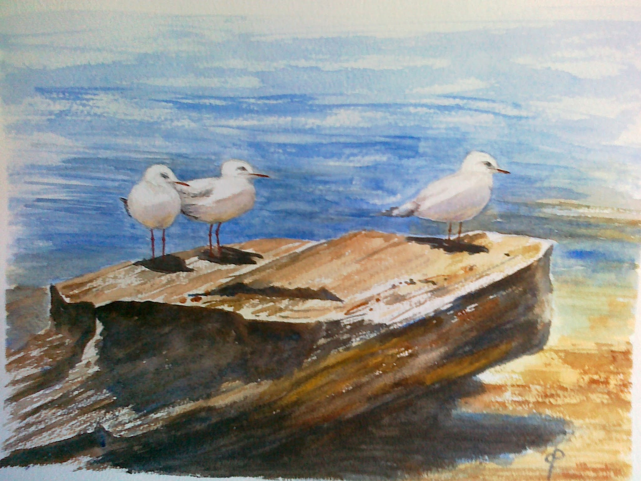 398. Seagulls on rock.