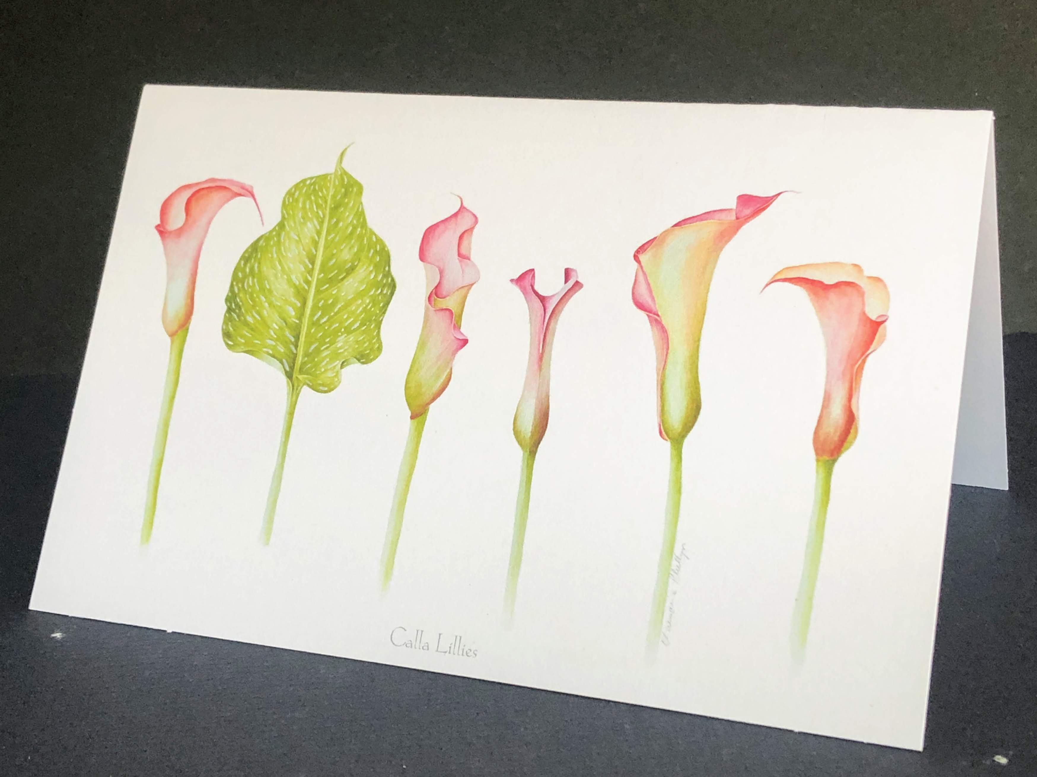 002 Calla Lillies x 5  Matte