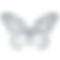 Buttefly