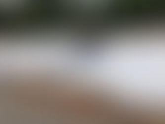Relleno Los Nevados avanza en su evaluación ambiental en Pucón