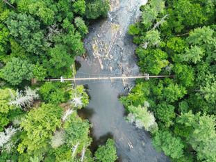 Imagen referencial de una pasarela peatonal suspendida sobre un río rodeado de bosque.