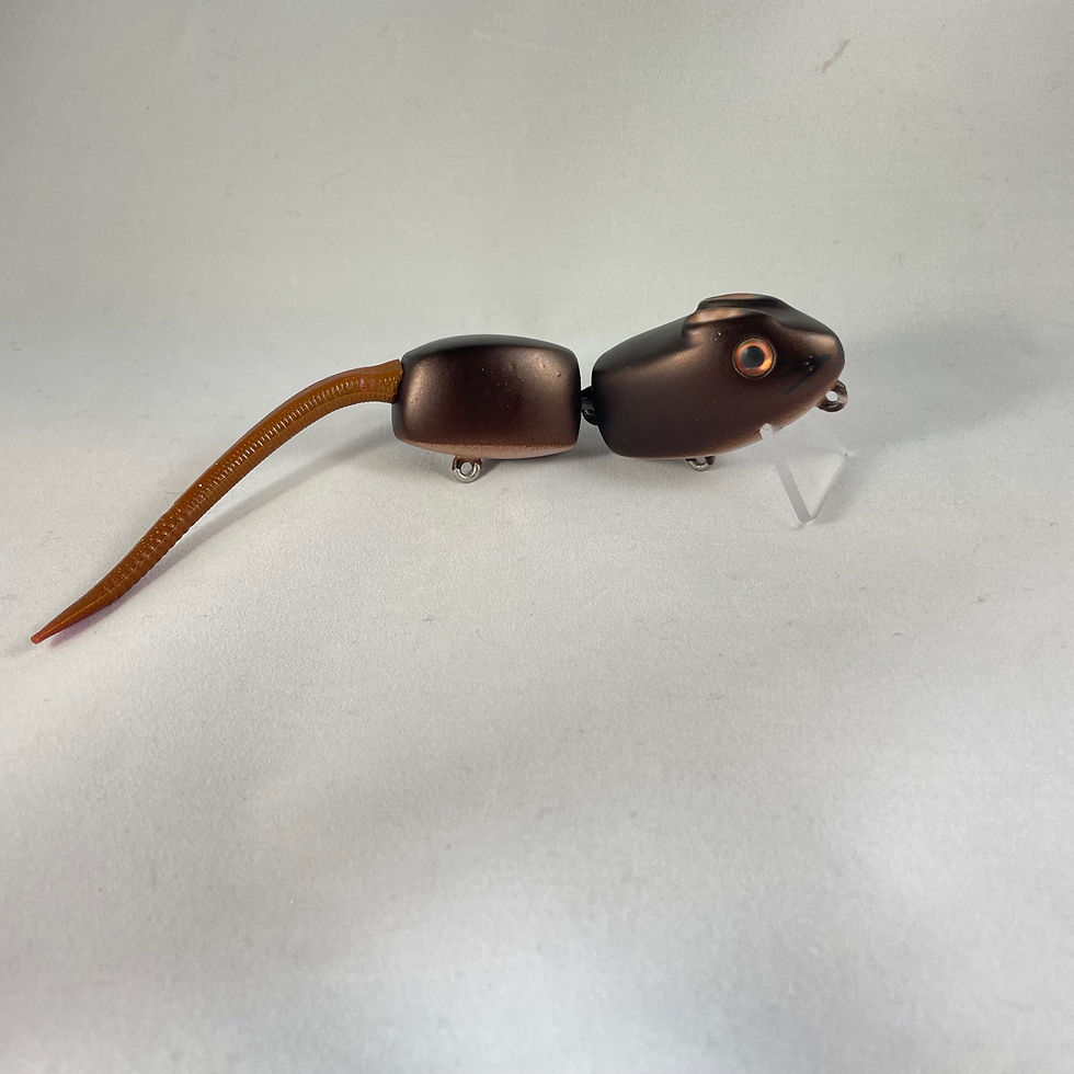Thumbnail: House Mouse V2