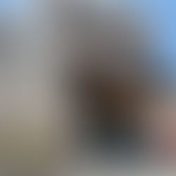 檜原村空き家課題 現地視察研修の考察