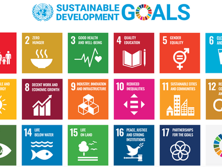 Understanding the Sustainable Development Goals: A Guide for Sustainability Strategies of Small Businesses