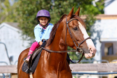 little girl loves her horse.JPG