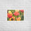 Thumbnail: Framed Floral Wall Art, Blooms in Spring Fine Art Print
