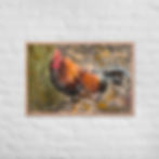 Thumbnail: Brown Chicken Framed Fine Art Poster, Wall Art, Farm Art