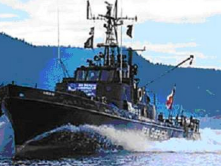 Volunteering to protect whales: Aboard the Sea Shepherd