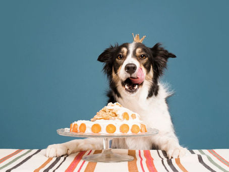 Happy Dogust!