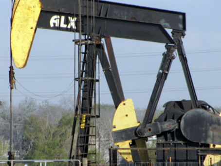 Revealing the suffering of birds in Texas oil fields