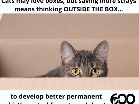 Thinking OUTSIDE THE BOX...