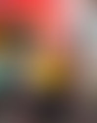 I Opened A Gallery ...