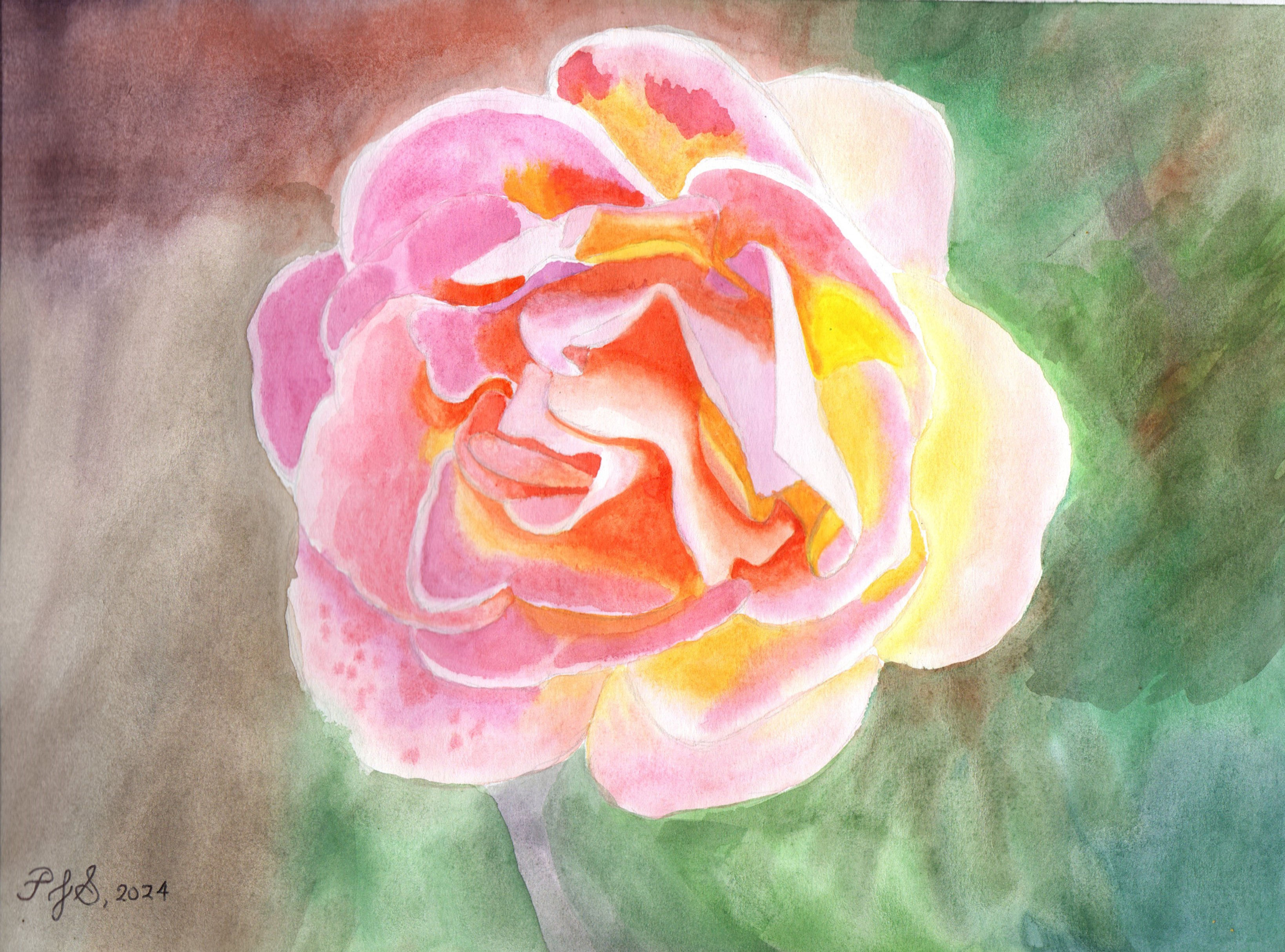 Flower Study (Pink and Orange Rose)