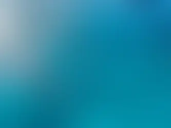 SWIM WITH DOLPHINS BY BLUE SAFARI