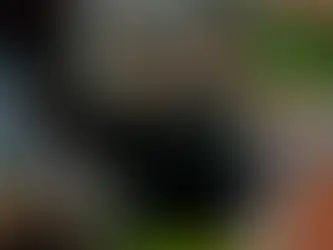 DA ANDREA E MAILA BY GOLOSONA RESTAURANT