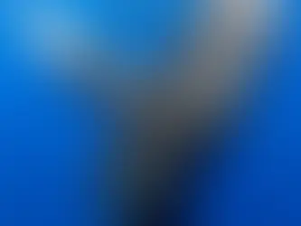 WHALE WATCHING BY BLUE SAFARI