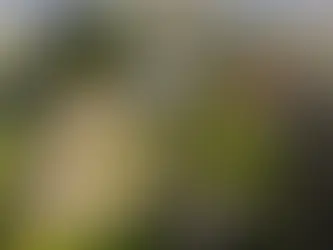 HELICOPTER AIR TAXIS BY CORAIL