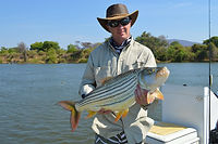 Chewore: Marauding Tigerfish