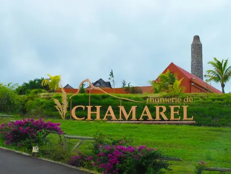 RHUM TASTING TOUR AT CHAMAREL