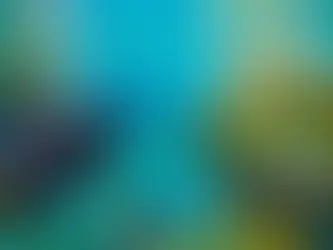 GLASS BOTTOM BOAT & SNORKEL AT BLUE BAY