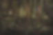 Puzzlewood_edited.jpg