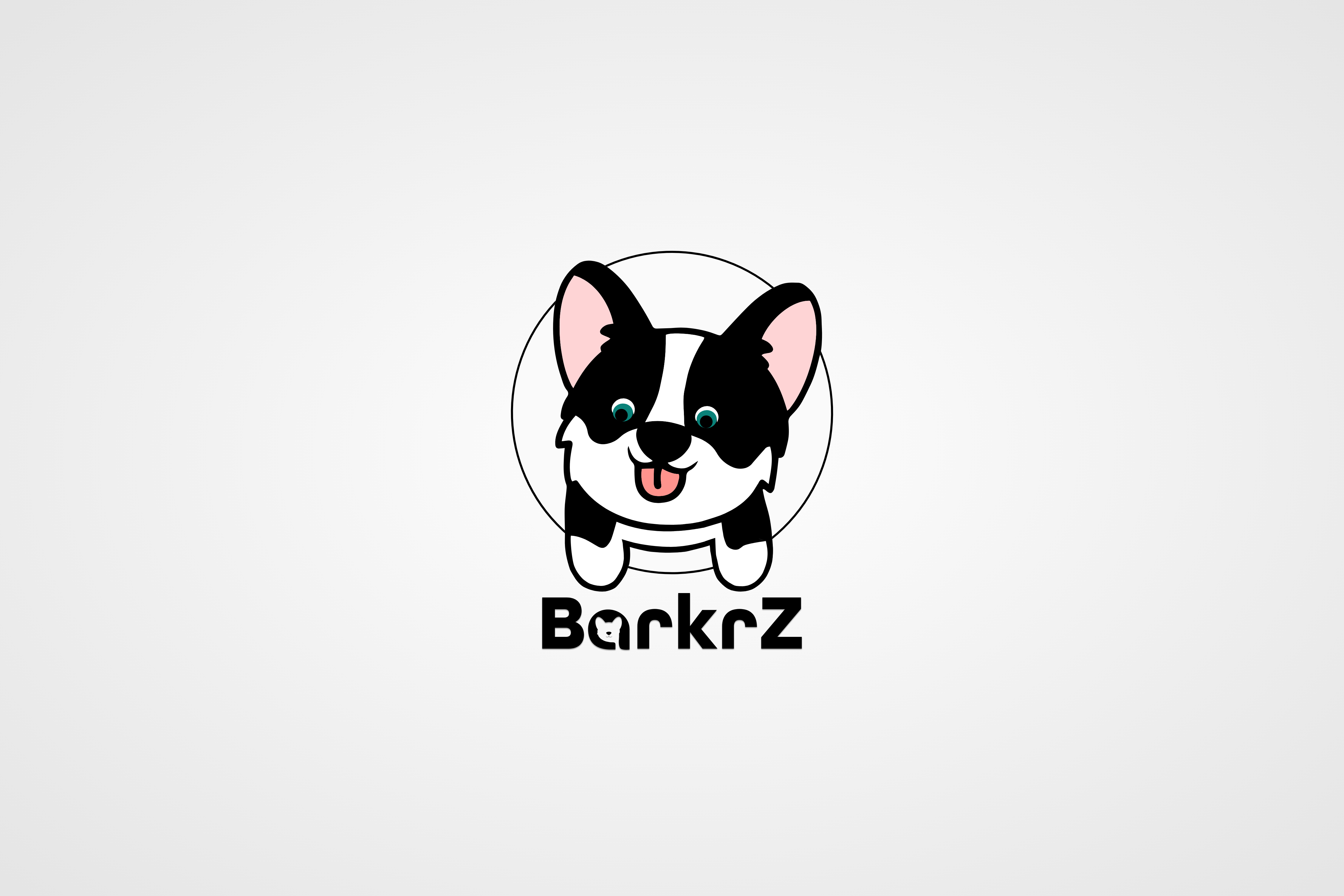 BarkrZ brand and logo design exploration.