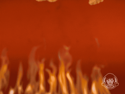 giphy-3.gif