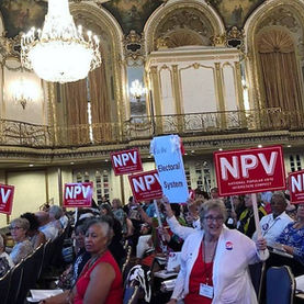 A large group of people holding red signs with white lettering which say NPV.