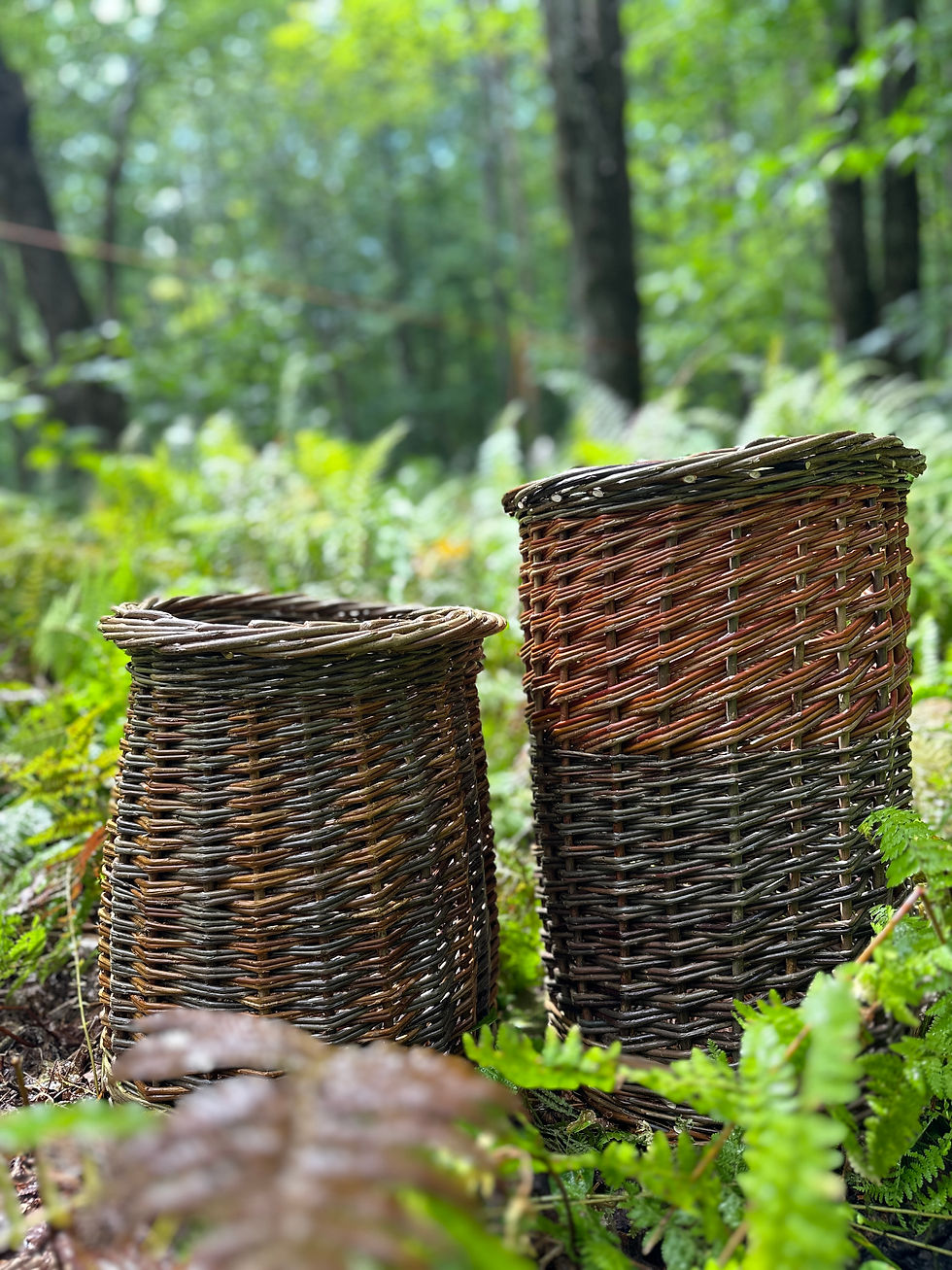 AUGUST 29-30 BIPOC Basket Camp w Black&Wild