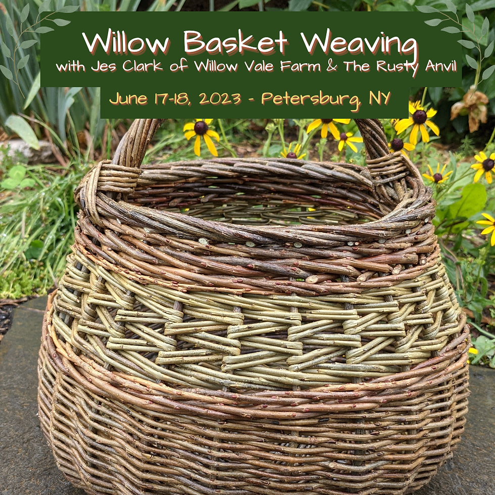 Willow Basket Weaving Retreat - AUGUST 2024