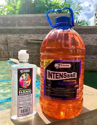 Intenssse Hand Soap and Sanitizer.jpg