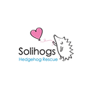 Untitled design.png
