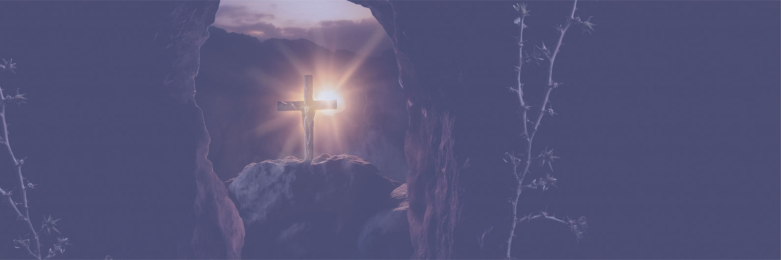 imagen para portada viacrucis.jpg