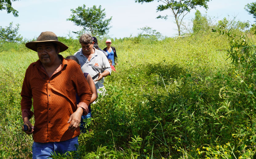 community reforestation