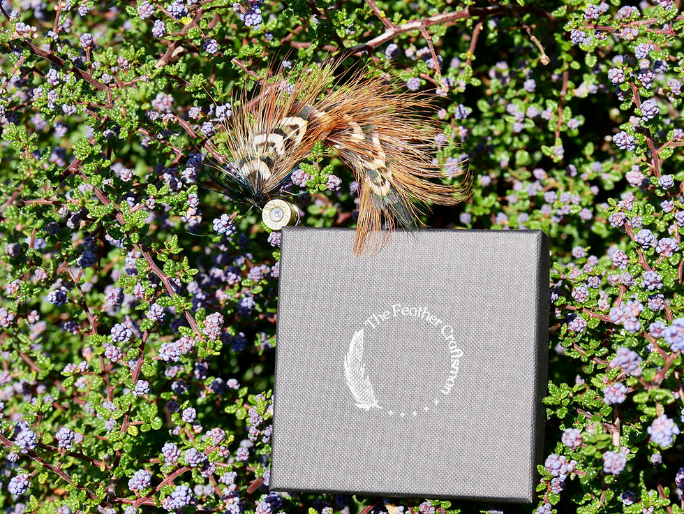 Thumbnail: Arched, Tufted Pheasant Feather Hat Pin Beside Presentation Box