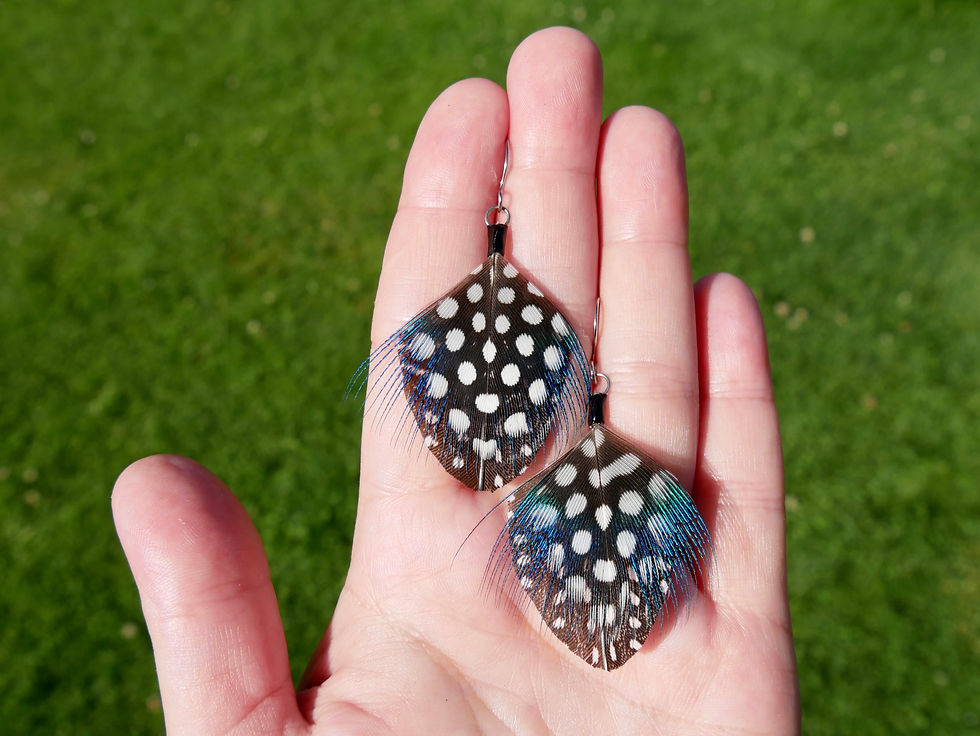 Thumbnail: Guinea Fowl and Peacock Spotty Shield Earrings On Hand For Size